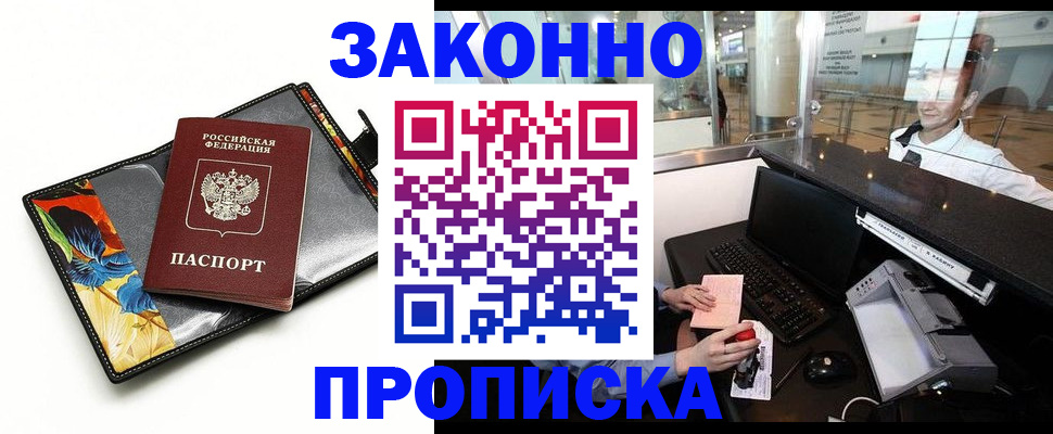 прописка 2025 в Елизово